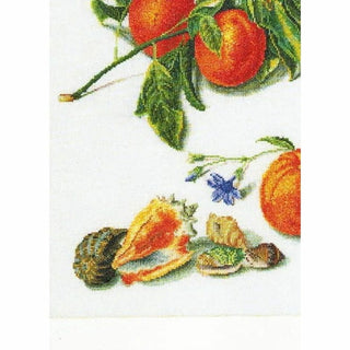 Orange et Mandarine 3061 Aida Thea Gouverneur