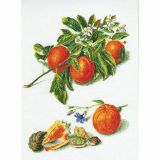 Orange et Mandarine 3061 lin Thea Gouverneur>>