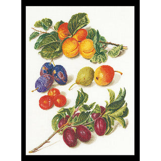 Pêches et prunes 3062 lin Thea Gouverneur