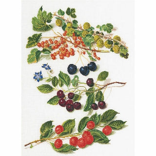 Fruits rouge 3063 lin Thea Gouverneur