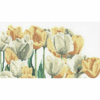 Tulipes 3065 Aida Thea Gouverneur