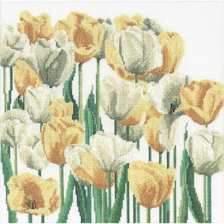Tulipes 3065 Aida Thea Gouverneur