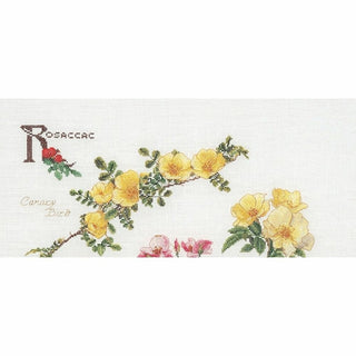 Roses 3066 lin Thea Gouverneur