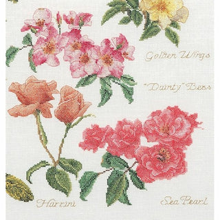 Roses 3066 lin Thea Gouverneur