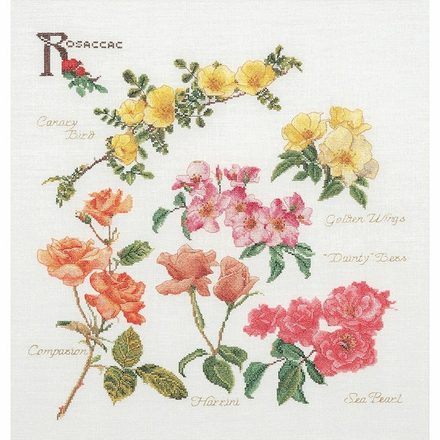 Thea Gouverneur - Kit de point de croix compté - Fleur japonaise - Lin - 36 Compter - Pour adultes - 481 Thea Gouverneur - Kit de point de croix compté - Fleur japonaise - Lin - 36 Compter - Pour adultes - 481