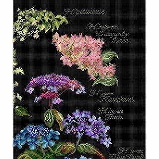 Hortensia 3067-05 Thea Gouverneur