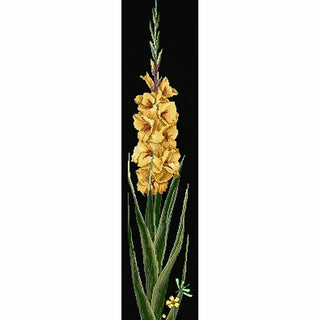 Glaïeuls jaune 3072-05 Thea Gouverneur