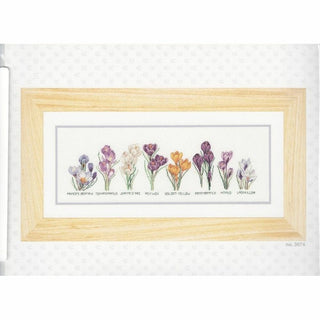 Crocus 3074 Aida Thea Gouverneur