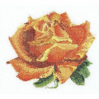 Rose 3075 Aida Thea Gouverneur