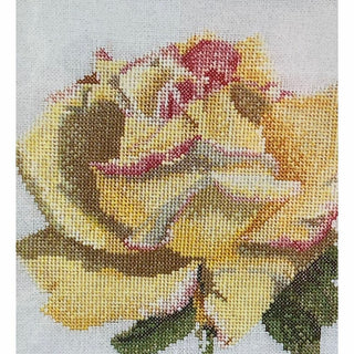 Rose 3076 lin Thea Gouverneur