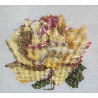 Rose 3076 lin Thea Gouverneur