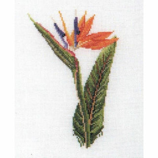 Six études florales 3081 lin Thea Gouverneur