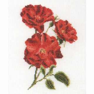 Six études florales 3081 lin Thea Gouverneur