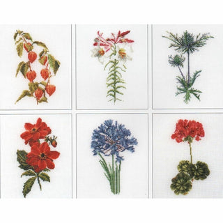 Six études floral II 3082 lin Thea Gouverneur