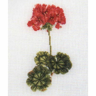 Six études floral II 3082 lin Thea Gouverneur