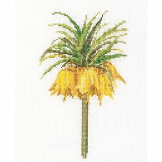 Six études floral III 3083 lin Thea Gouverneur