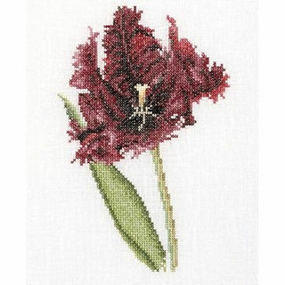 Six études Floral III 3083 Aida Thea Gouverneur