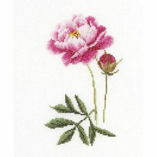 Thea Gouverneur 3085 Aida Six études Floral V