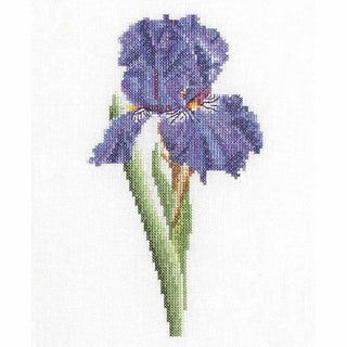 Thea Gouverneur 3085 Aida Six études Floral V