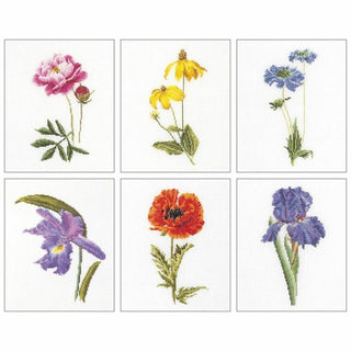 Thea Gouverneur 3085 Aida Six études Floral V