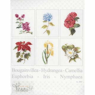 Six études Florales 3087 lin Thea Gouverneur
