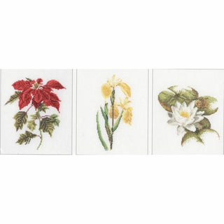 Six études Florales 3087 lin Thea Gouverneur