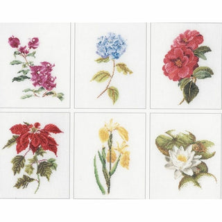 Six études Florales 3087 lin Thea Gouverneur