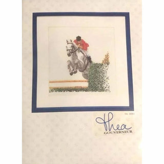 Saut d obstacles 3090 Aida Thea Gouverneur