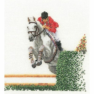 Saut d obstacles 3090 lin Thea Gouverneur