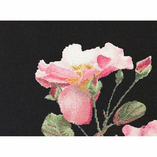 Rosa Leersum 412-05 Thea Gouverneur