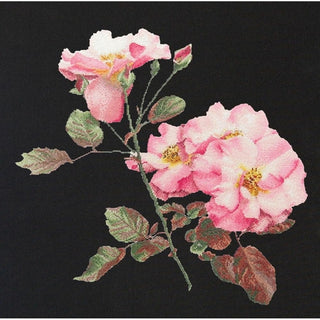 Rosa Leersum 412-05 Thea Gouverneur