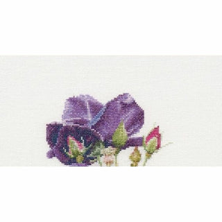 Rose Rhapsody in blue 413 Aida Thea Gouverneur