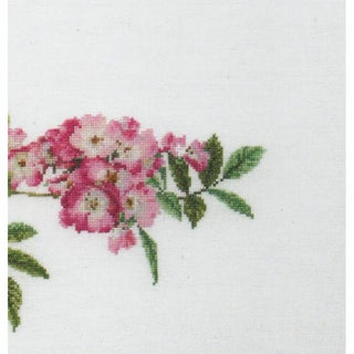 Rose Mozart 415 lin Thea Gouverneur