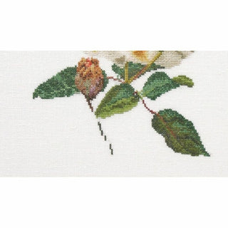 Thea Gouverneur 416 Aida Rose jaune
