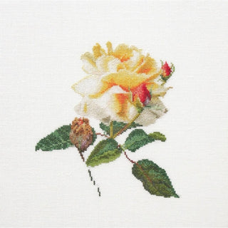 Thea Gouverneur 416 lin Rose Jaune