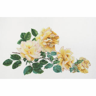 Thea Gouverneur 429 lin Rose