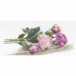 Pivoines 433 Aida Thea Gouverneur