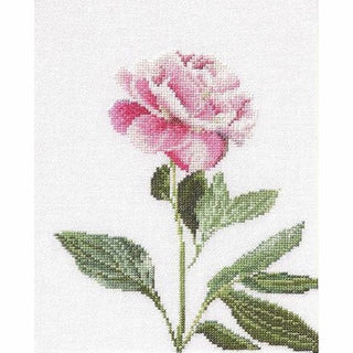 Pivoines 433 Aida Thea Gouverneur