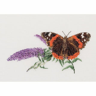 Thea Gouverneur 436 lin Papillon Budlea