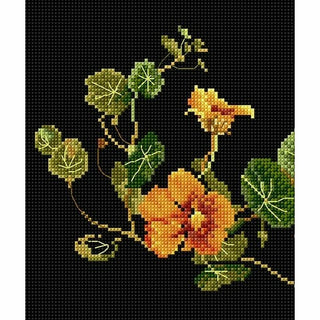 Thea Gouverneur 437-05 Papillon Nasturtium