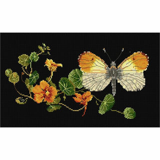 Thea Gouverneur 437-05 Papillon Nasturtium