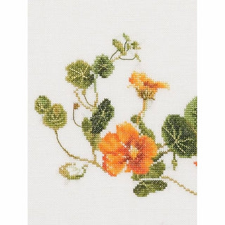 Thea Gouverneur 437 lin Papillon Nasturtium