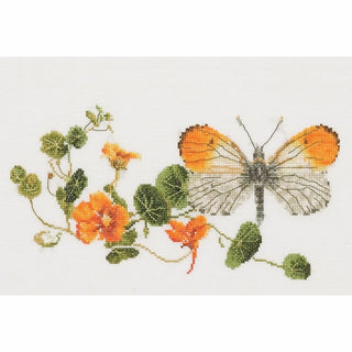 Thea Gouverneur 437 lin Papillon Nasturtium