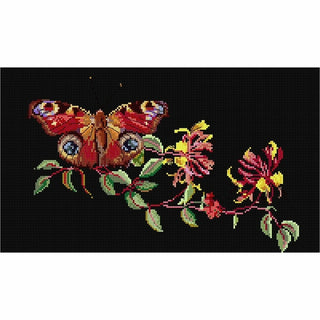 Butterfly Honeysuckle 439-05 Thea Gouverneur