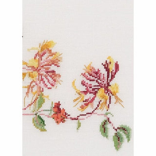 Butterfly Honeysuckle 439 Aida Thea Gouverneur
