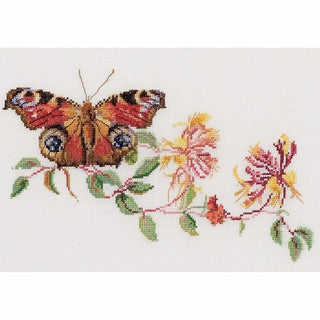 Butterfly Honeysuckle 439 lin Thea Gouverneur