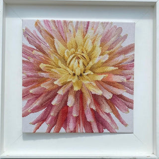 Dahlia 441 Aida Thea Gouverneur