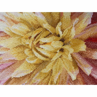 Dahlia 441 Aida Thea Gouverneur