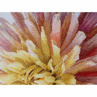 Dahlia 441 Aida Thea Gouverneur