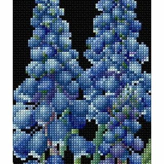 Muscari 443-05 Thea Gouverneur